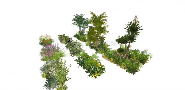 三列景观植物灌木组合su模型-图二