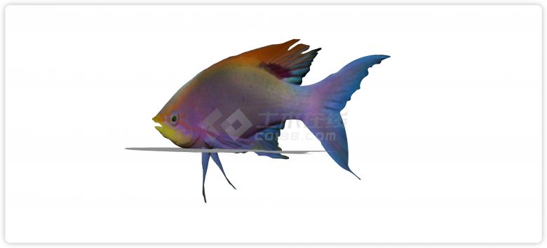 幻彩热带鱼水族馆鱼类动物组合su模型-图一