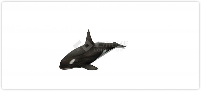 鲸鱼水族馆鱼类动物组合su模型-图二