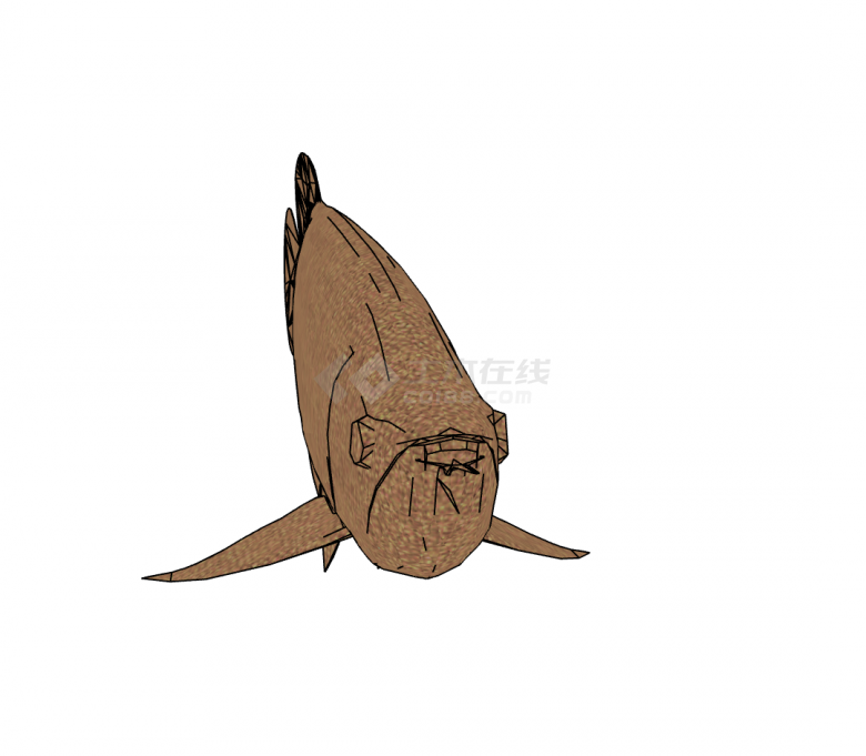 褐色木鱼水族馆鱼类动物组合SU模型-图一
