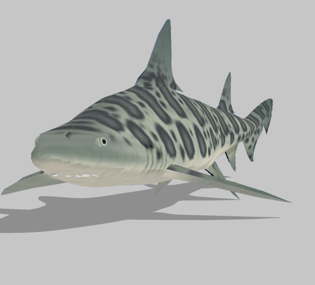 斑点水族馆鱼类动物组合SU模型_图1