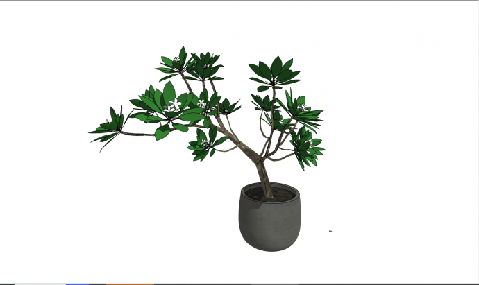 一款深色花盆种着一株茂盛的小树盆栽su模型_图1
