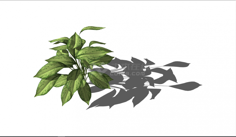 绿色尖叶子植物景观su模型-图二