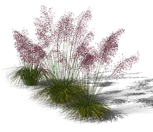 现代三水生植物su模型-图二