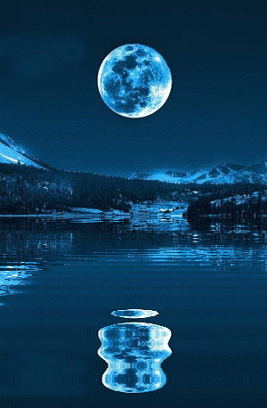 如果月光是一条长长的河