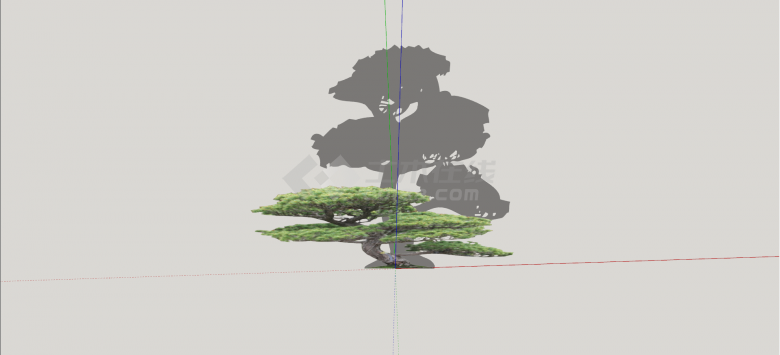 常绿五针松造型松树组合su模型-图一