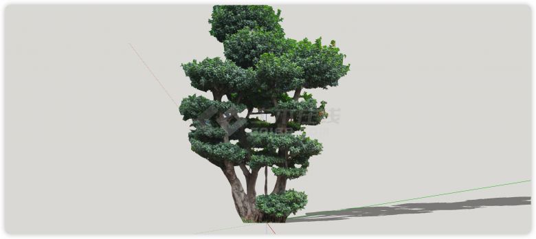 树枝缠绵优美造型树su模型-图二