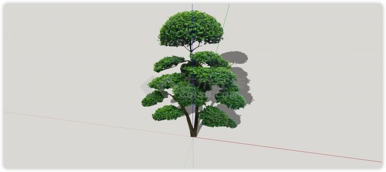 葱绿细杆优美造型树su模型-图二
