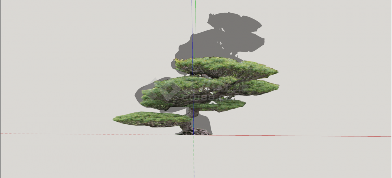 常绿乔木造型松树组合su模型-图二