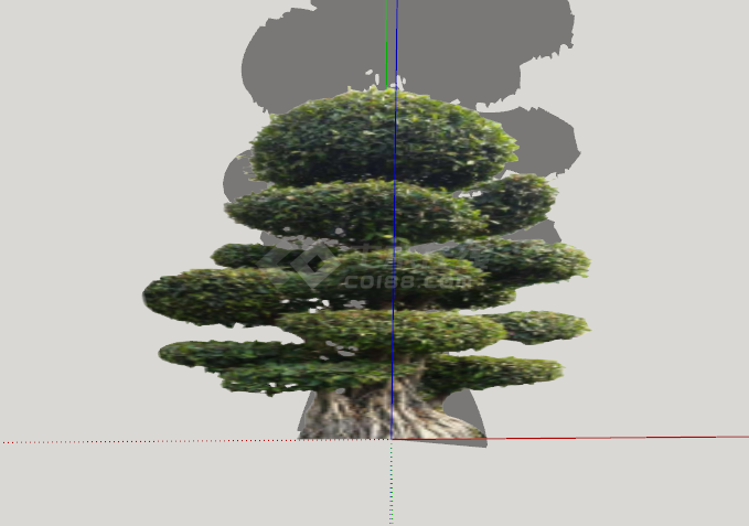 小叶榕树绿丝带造型树su模型-图二
