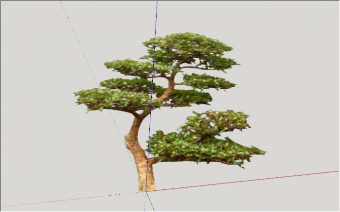现代绿色树木景观树装饰su模型_图1