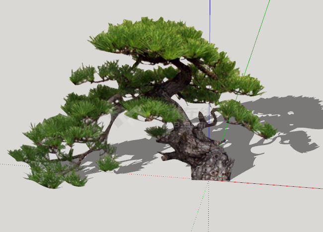 绿色弯曲造型松树组合su模型-图二