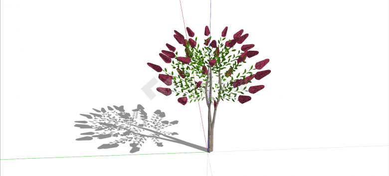 蝶形花科3D花卉灌木su模型-图二