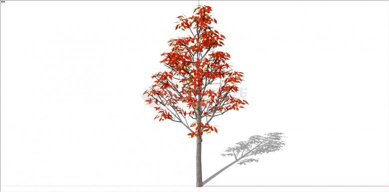 红褐双色叶观赏性树su模型-图一