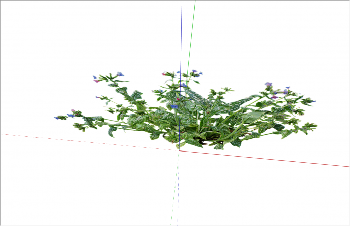 紫花斑点叶子常绿灌木su模型_图1