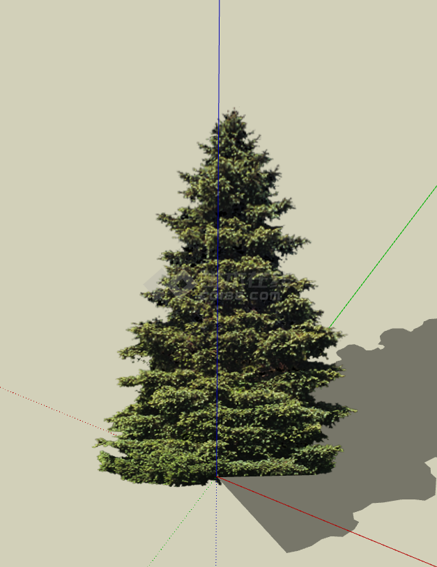 一年四季常绿的造型树su模型-图二