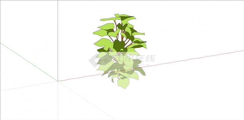 可观赏性单株绿叶植物su模型-图二