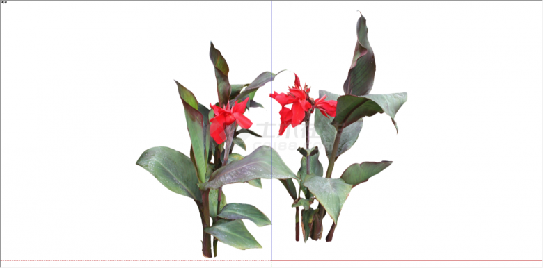 现代两株红色花植物su模型-图二