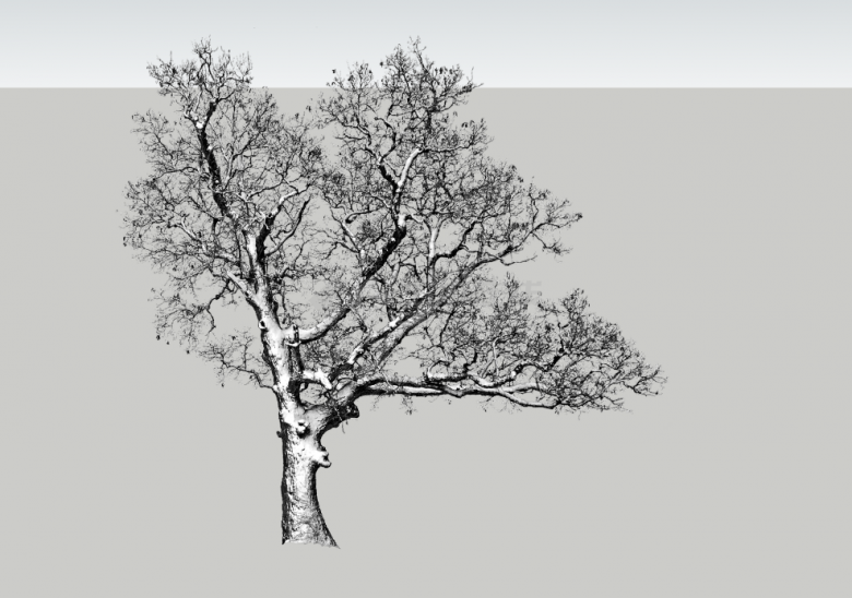 现代黑白剪影树木景观小品su模型-图二