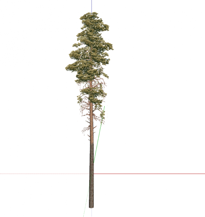 细而高的棕黄色树木su模型_图1