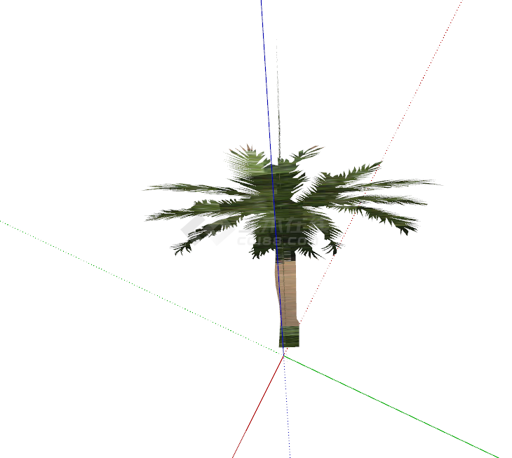 高大的棕树景观植物su模型-图二