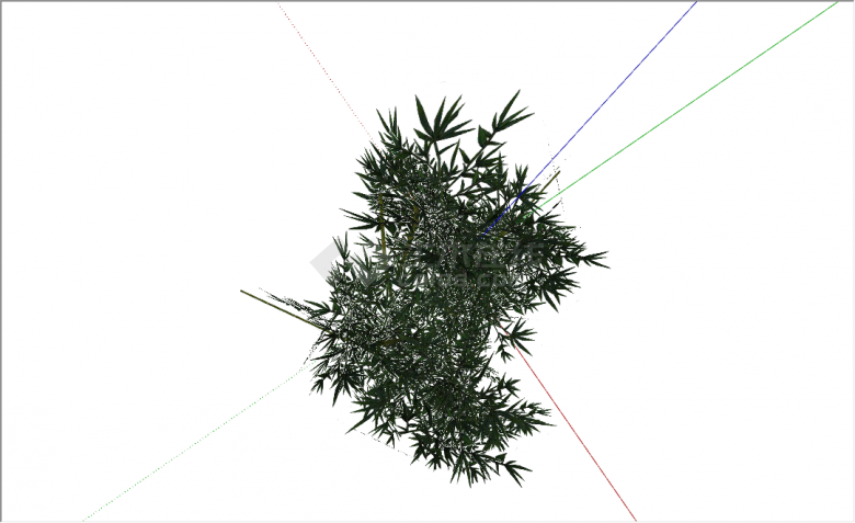 现代雪松乔木景观植物su模型-图二