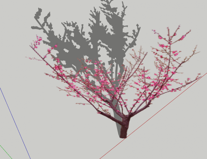 现代小颗樱花树植物su模型_图1