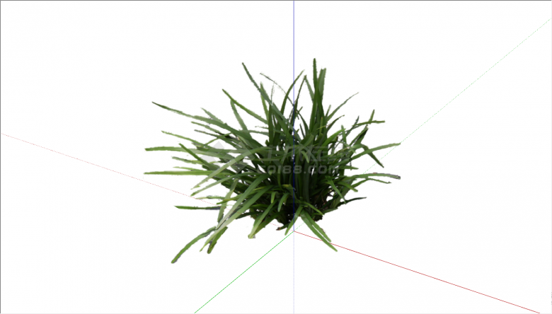 一棵茂密的绿色的小草su模型-图二