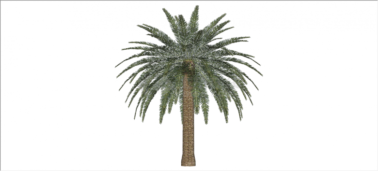 精美嫩绿棕榈热带树木su模型-图二