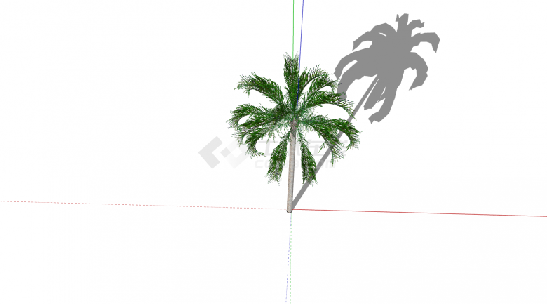 热带树单棵绿叶植物su模型-图二