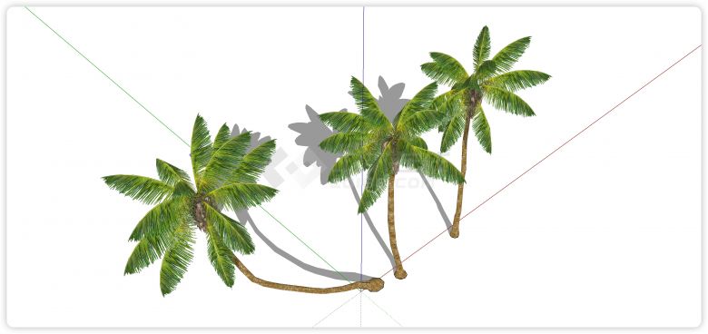 高长树干椰树热带树su模型-图二