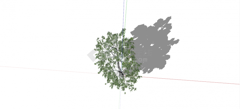 杨柳科垂柳绿色乔木su模型-图二
