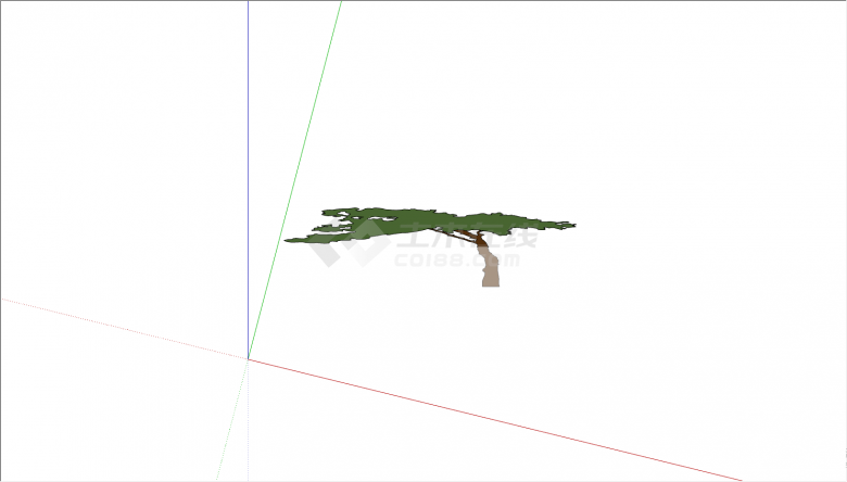 棕色的树干绿色的树冠su模型-图一