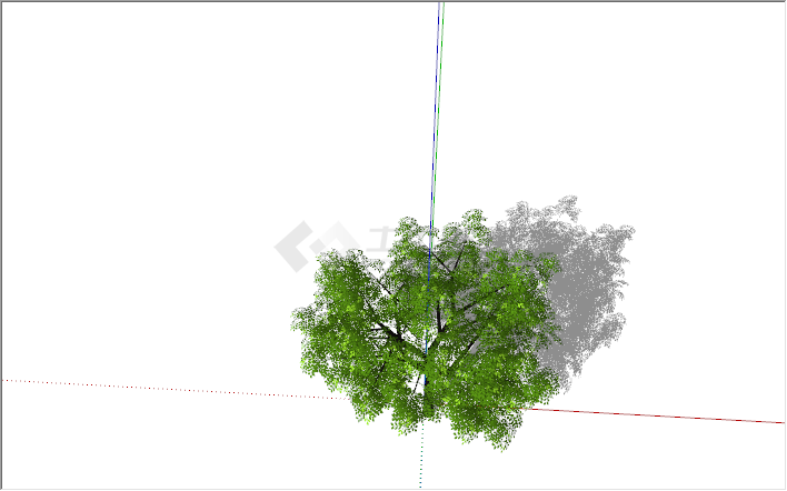 现代户外景观植物绿色乔木su模型-图二