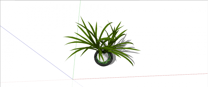 龙舌兰科龙血树室内植物su模型_图1
