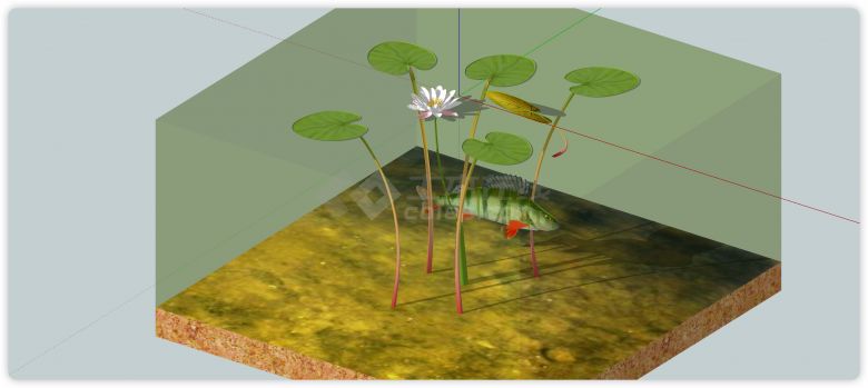 水中鲤鱼荷花室内植物su模型-图一