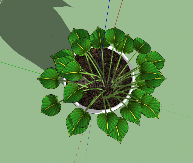 室内芍药植物su模型-图二