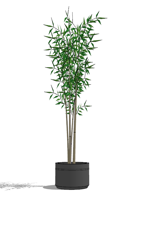 竹子花盆植物su模型-图一