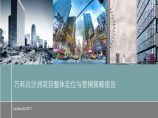 武汉市万科白沙洲项目整体定位与营销策略报告.ppt图片1