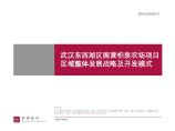 武汉东西湖区国营柏泉农场项目区域整体发展战略及开发模式-343页精.pdf图片1