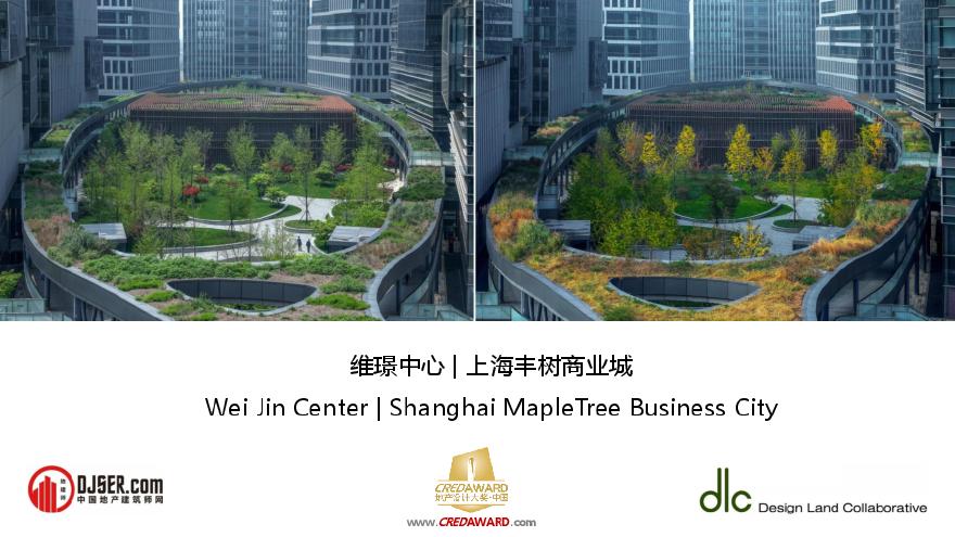 维璟中心上海丰树商业城建筑规划方案.pdf-图一