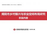 2019 揭阳市乡村振兴与农业空间布局[42P].pdf图片1