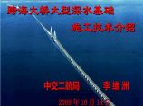 [中交]跨海大桥大型深水基础施工技术（共126页）图片1