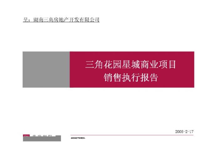 世联-东莞市三角花园星城商业项目销售执行报告.pdf_图1