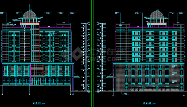 某地十层框架结构欧式酒店建筑设计图-图二