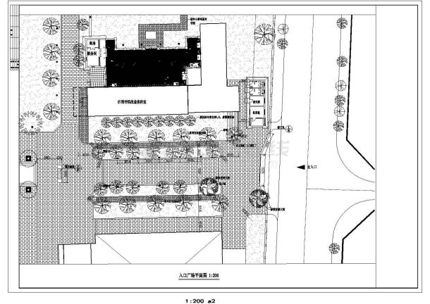 某现代小学校园入口广场绿化设计cad总平面施工图（甲级院设计）-图一