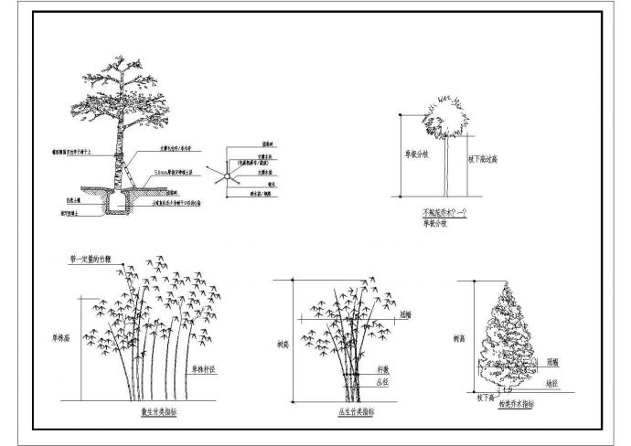植物（乔木、灌木、地被）栽种、修建大样图_图1