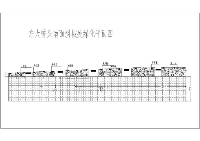 江苏省江阴市市区某道路人行道旁绿化布置CAD图纸_图1