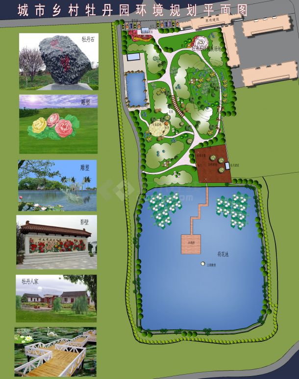 小型牡丹园的建设规划图片