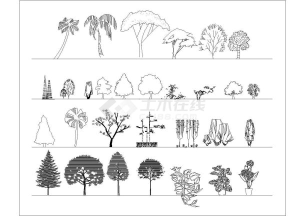 某公园立面植物图例CAD设计图纸-图一